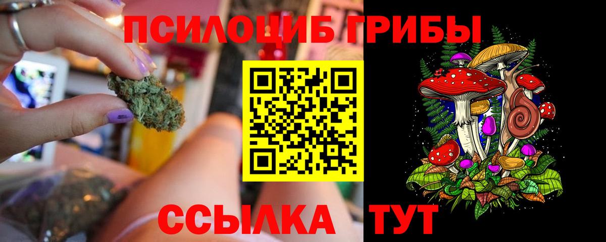 Галлюциногенные грибы мухоморы Таганрог